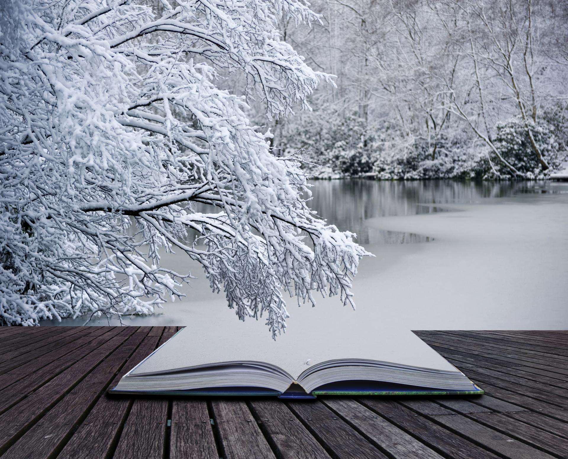 livre hiver zen
