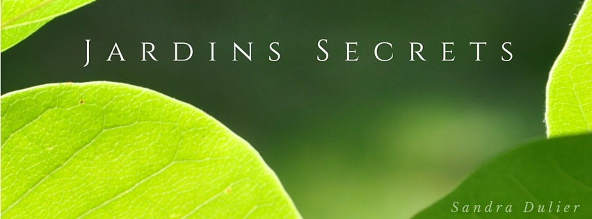 Jardins secrets, la page Facebook à découvrir